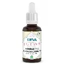 bourgeons-de-marronnier-chestnut-bud (1).webp