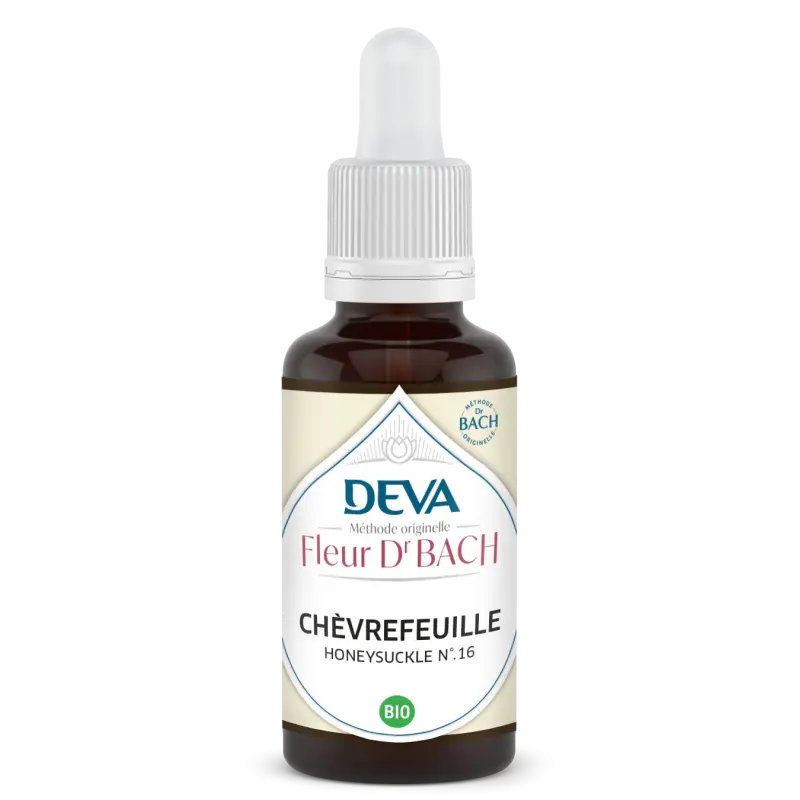 chevrefeuille-honeysuckle (1).webp