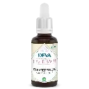 chevrefeuille-honeysuckle (1).webp