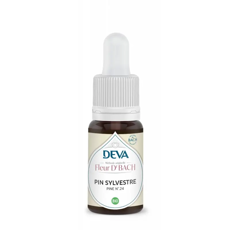 pin-sylvestre-pine.webp