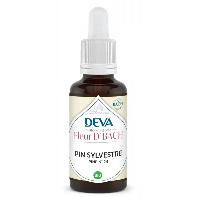 pin-sylvestre-pine (1).webp