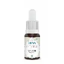 verveine-vervain.webp
