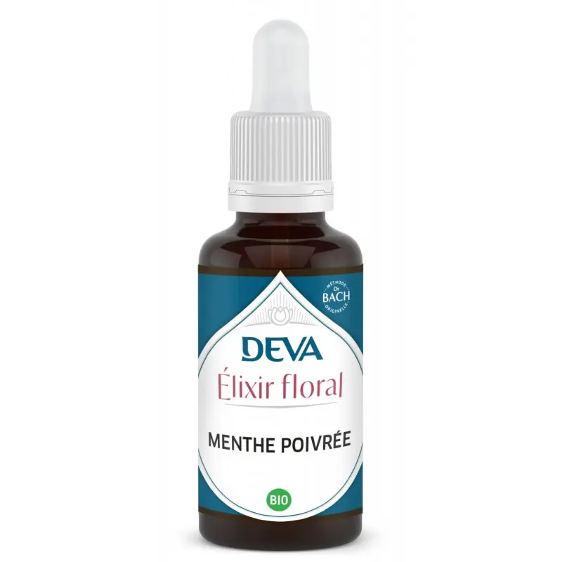 menthe-poivree (1).webp