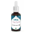 menthe-poivree (1).webp