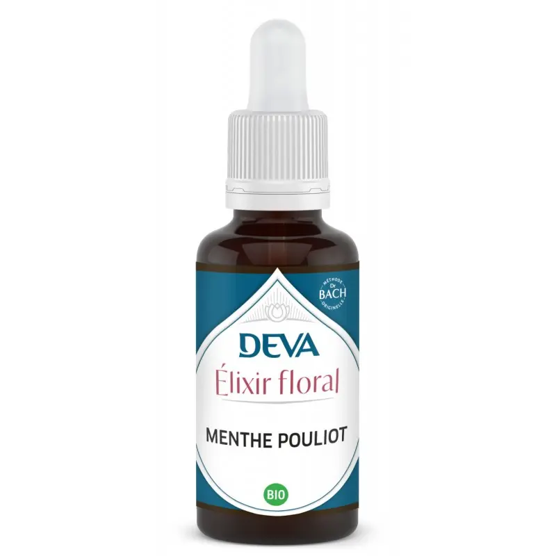 menthe-pouliot (1).webp