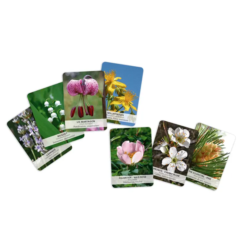 jeu-de-cartes-des-38-fleurs-de-bach.webp