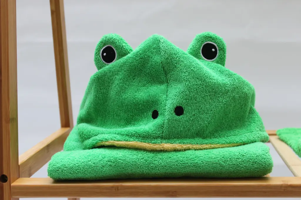 210225-ponchofrosch.webp