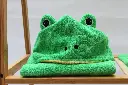 210225-ponchofrosch.webp