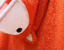 210225-fuchsdetail.webp