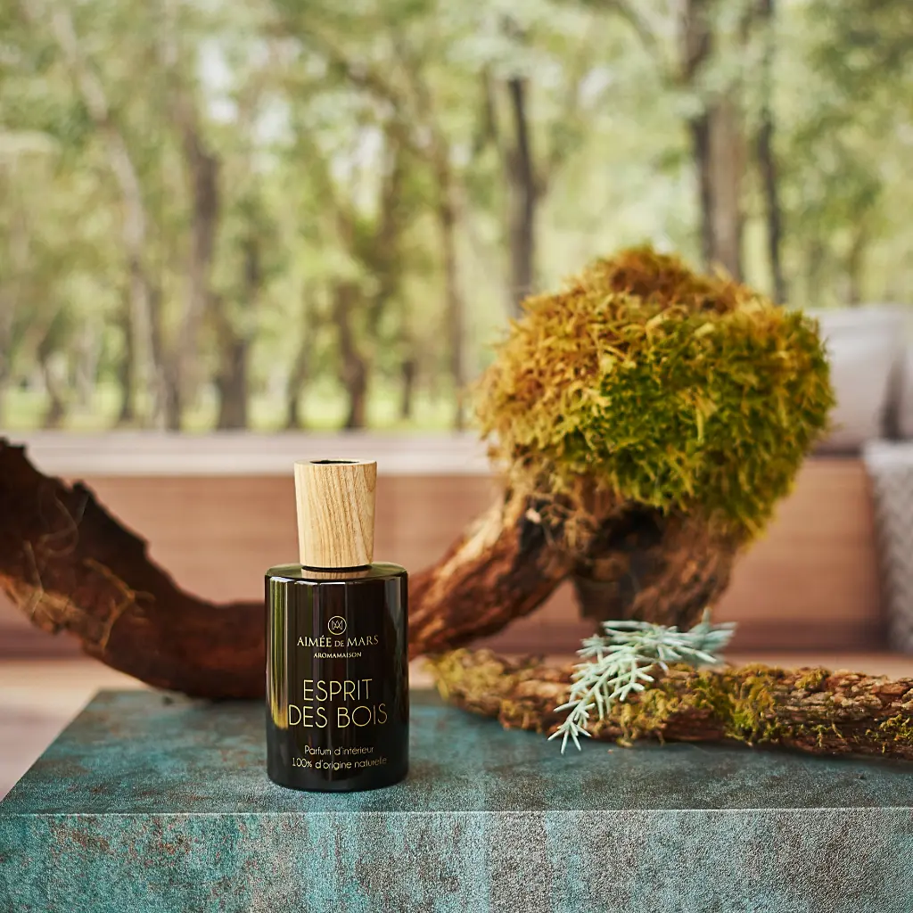 Esprit_des_bois_X_Sq.webp