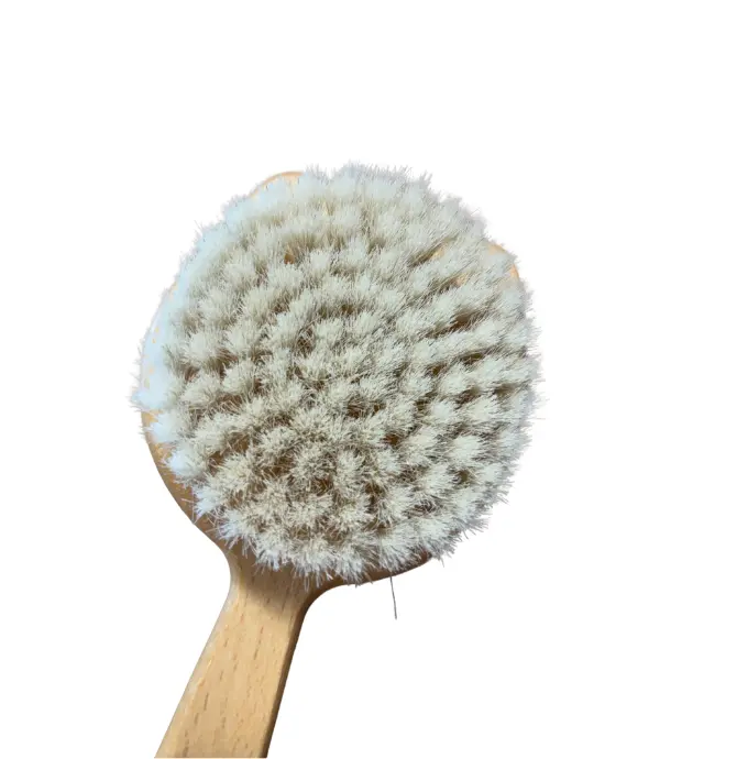 ECO MASSAGE ÉPONGE Corps en Cellulose douce (75).webp