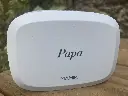 papa.webp
