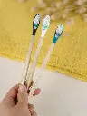 DSC09462 (1).webp