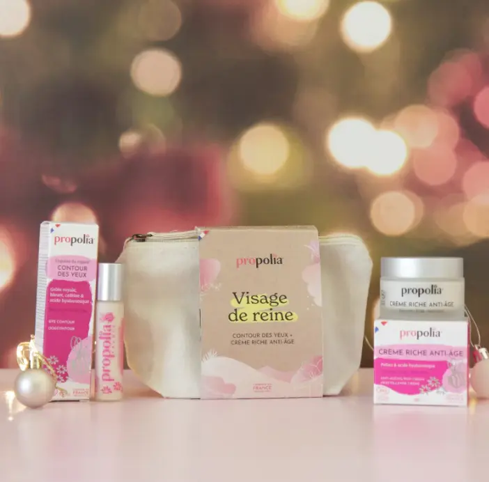 Capture d’écran 2025-11-13 153226.webp