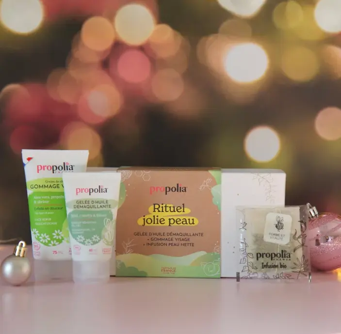 Capture d’écran 2025-11-13 153631.webp