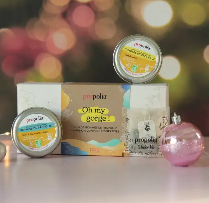 Capture d’écran 2025-11-13 153940.webp