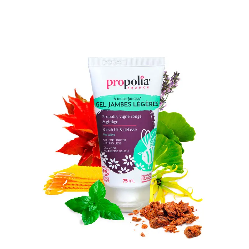 GELJAMBIO_web.webp