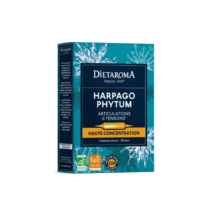 DIET C.I.P. HARPAGOPHYTUM Équitable 