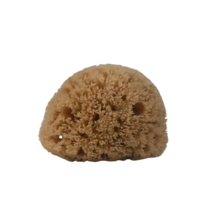 EPONGE  Standard Corps 15 cm