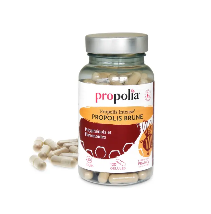PROP Gélules PROPOLIS ULTRA