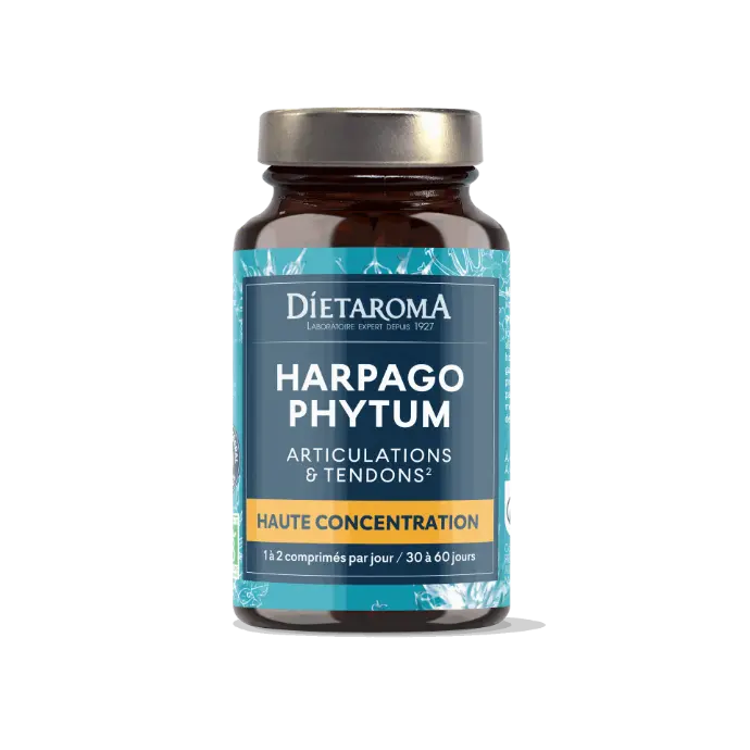 DIET PHYTO HARPAGOPHYTUM (origine Namibie) 