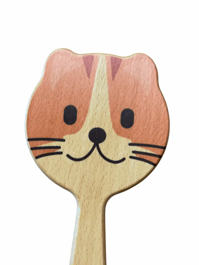 Brosse Cheveux ENFANT picots CHAT