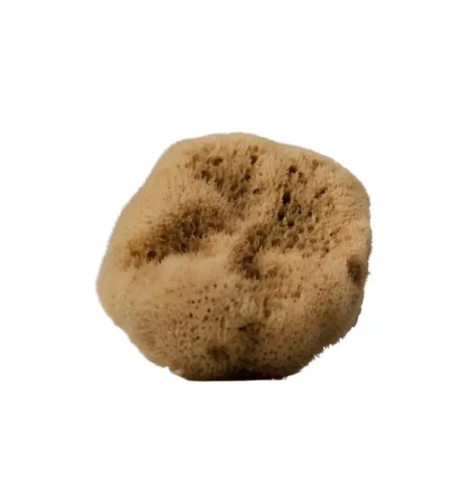EPONGE Fine Visage 4 cm
