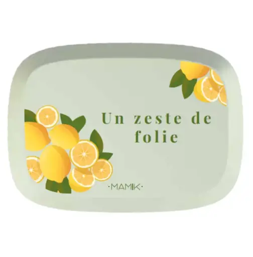 [ART1689] BOITE A SAVON Zeste de folie