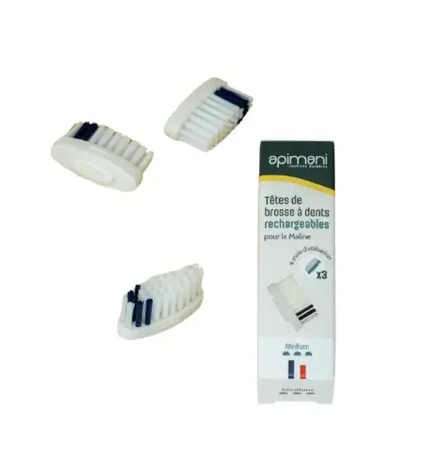 [ART2453] API TÊTE Brosse à Dents MEDIUM - Lot de 3pc