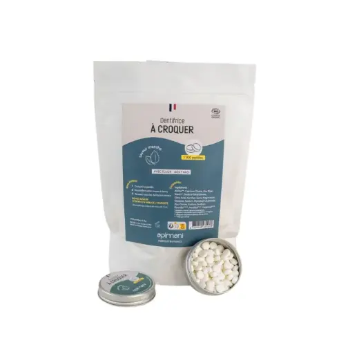 [ART2461] API RECHARGE DENTIFRICE à CROQUER - Goût Menthe 120 pastilles