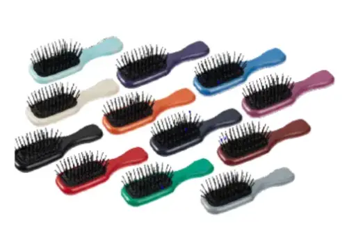 [ART2646] Brosse Cheveux Hêtre MINI COLOREE à picots