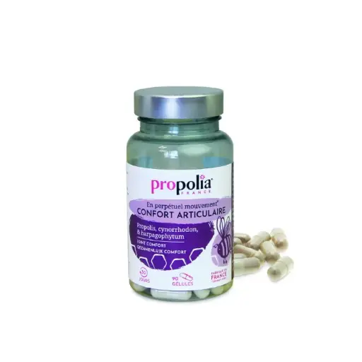 [ART0307] PROP CONFORT ARTICULAIRE Cartilage raie Prêle Cynorrhodon Harpagophytum & Propolis 