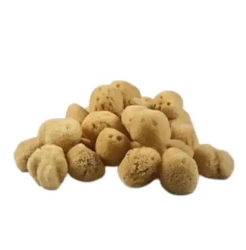 [ART0678] EPONGE Fine Bébé 6 cm