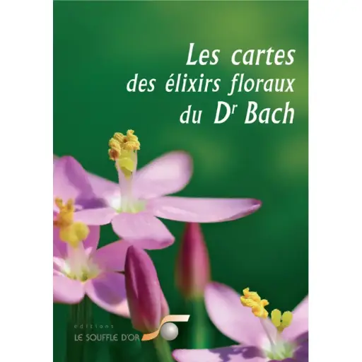 [ART0840] DEVA Jeu de cartes Bach