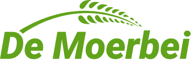 DE MOERBEI