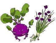 CHOU VRAC & CIBOULETTE - WEDYMO SRL